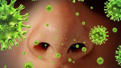 Uzmanlar belirtileri açıkladı! Gergedan virüsü hızla yayılıyor