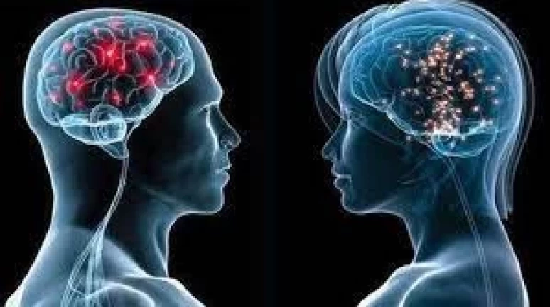 Kadın ve erkek beyni arasındaki farklar merak edenler için açıklandı!